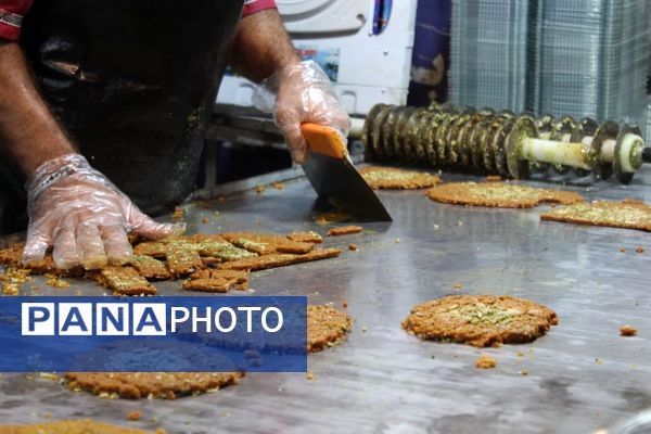 رویداد دیار علویان در گلوگاه 