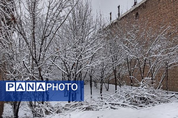 آسمان سخاوتمندانه نعمتش را در ماه شعبان به زمین شهر بار هدیه کرد