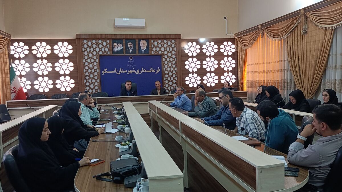 تعامل بین دستگاهی برای اجرای سند ارتقای سلامت روان ضروری است