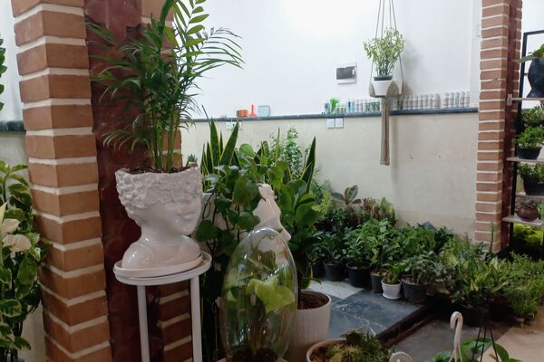 نمایشگاه گل و گیاه در نمایشگاه دائمی قرچک