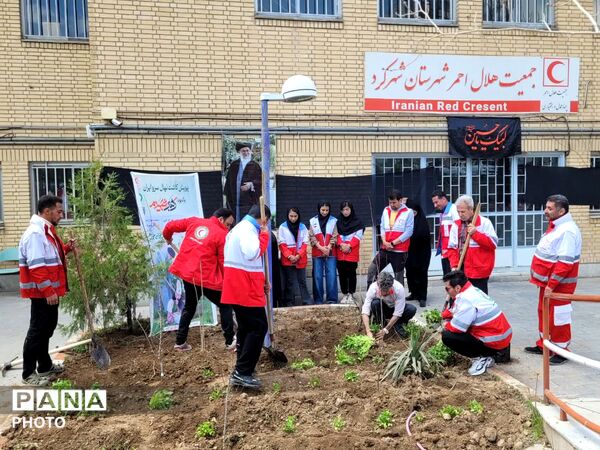 درختکاری؛ اجرای امر رهبر به یاد فرزندان میناب