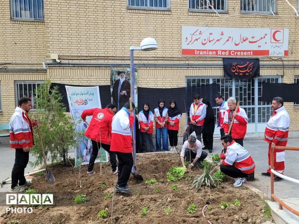 درختکاری؛ اجرای امر رهبر به یاد فرزندان میناب