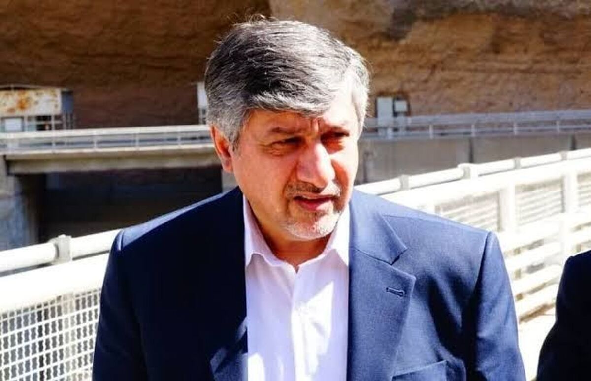 سرپرست دفتر راهبری و نظارت بر تولید برق وزارت نیرو منصوب شد