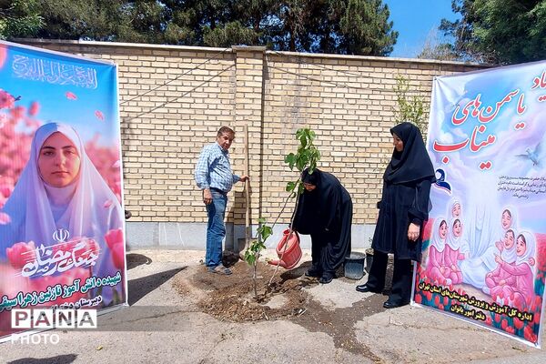 کاشت نهال به یاد یاسمن‌های میناب و شهیده دانش‌آموز نازنین زهرا سیفی 