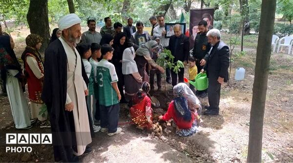 سرو ایران در آزادشهر ریشه دواند