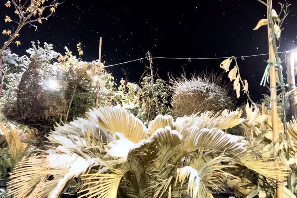 شب زیبای برفی در آباده