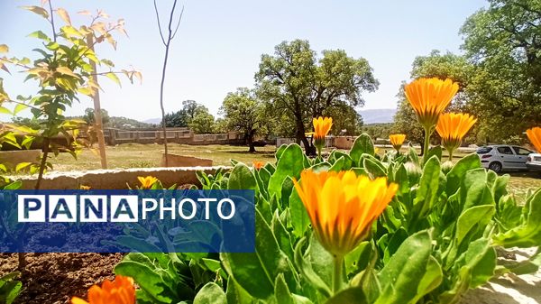 مسیر قارون تا قلعه مدرسه در واپسین لحظه‌های بهار