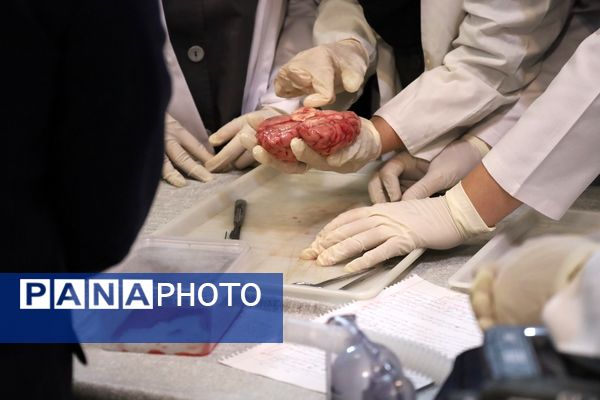 زنگ پژوهش در آذربایجان غربی