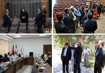 پردیس سینمایی نیاز استان کرمان
