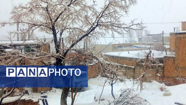 بارش سنگین برف در بن؛ رکورد تازه زمستان