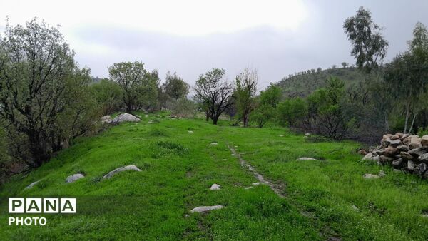 معمولان؛ نگین سرسبز زاگرس در آغوش لرستان