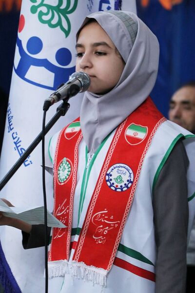 همایش «یاوران انقلاب» در بهارستان‌دو