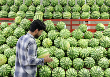 تغییر ساعات میادین و بازارهای میوه و تره‌بار به مناسبت شب یلدا