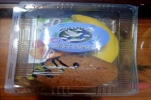 زنگ صلح  و دوستی در دومین روز از سال تحصیلی در مدرسه شاهد ائمه اطهار پاکدشت نواخته شد 