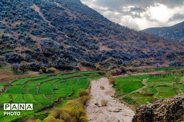  بهاریِ رنگارنگ در پل‌بریده