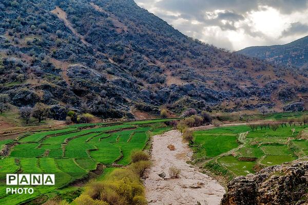  بهاریِ رنگارنگ در پل‌بریده
