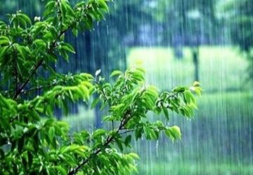 باران رحمت؛ قطره‌هایی از جنس امید و زندگی