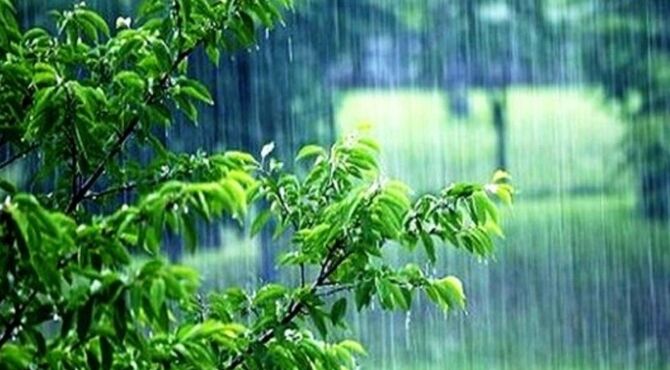 باران رحمت؛ قطره‌هایی از جنس امید و زندگی