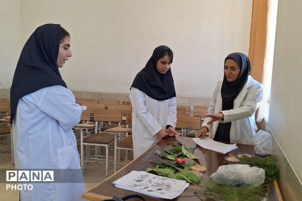 نمایش توانمندی‌های علمی دانش‌آموزان ناحیه سه شیراز در جشنواره خوارزمی