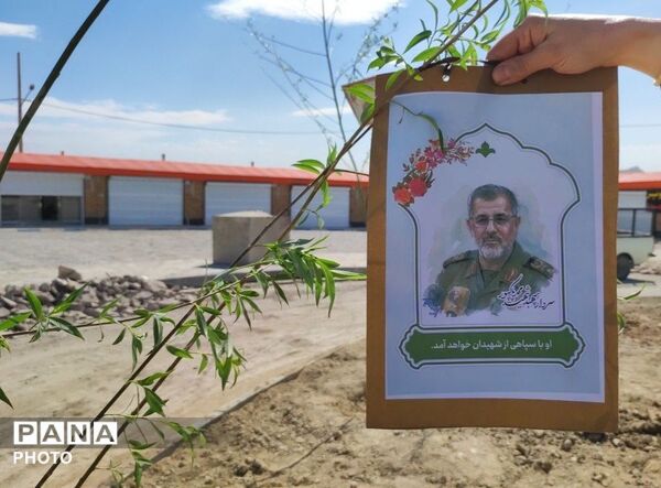 پویش کاشت نهال به یاد شهدای جنگ تحمیلی سوم در بوستان شهدای میناب شهرستان شیروان