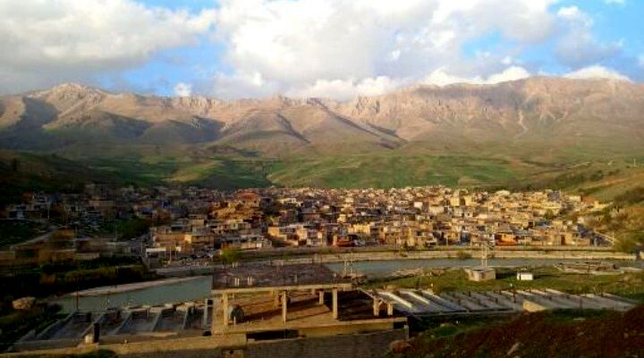 کاج، آرامشی در دل زاگرس