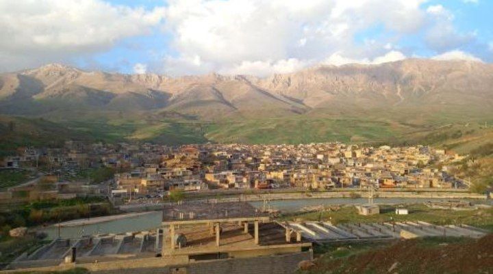 کاج، آرامشی در دل زاگرس