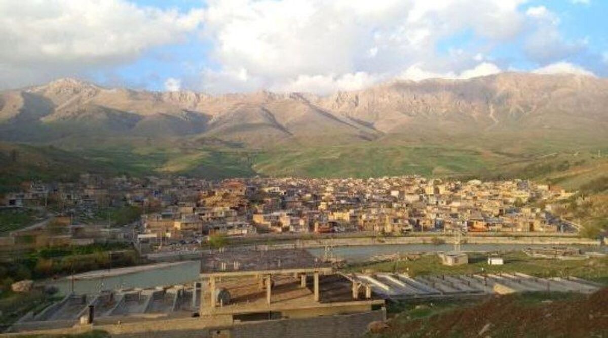 کاج، آرامشی در دل زاگرس