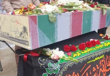 نخل‌ها ایستاده می‌میرند
