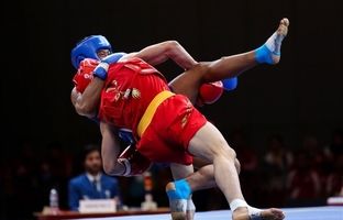 احتمال برگزاری اردوی مشترک تیم‌های ووشوی ایران و چین