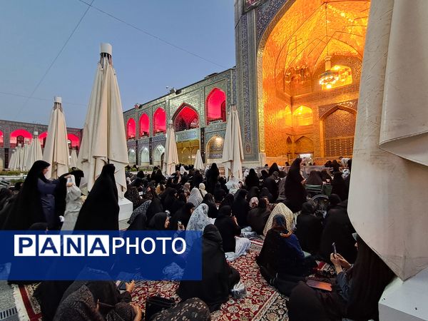 کبوتر حرم مشهد مقدس