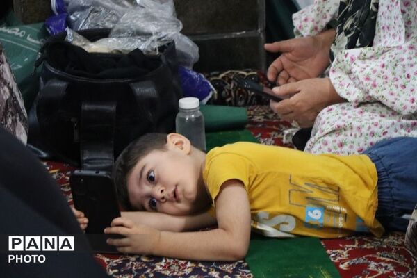 از صفوف بندگی تا قاب دوربین؛ جلوه باشکوه وحدت در نماز جمعه 