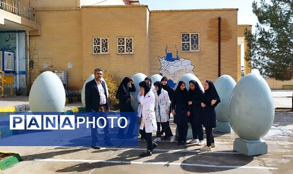 تخم‌مرغ‌های رنگی به پیشواز بهار رفتند