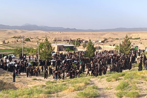 برزنون غرق در ماتم تاسوعا