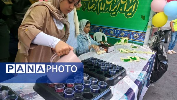 تهران در لباس سبز تولد امام رضا (ع) 