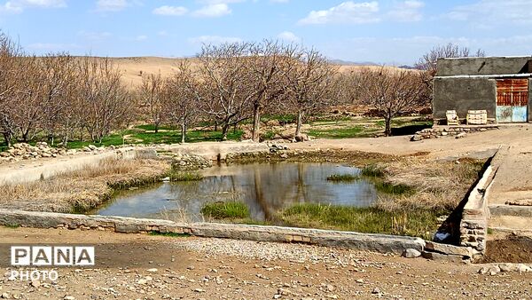 رویش شکوفه های امید در فصل بهار روستای برزنون 