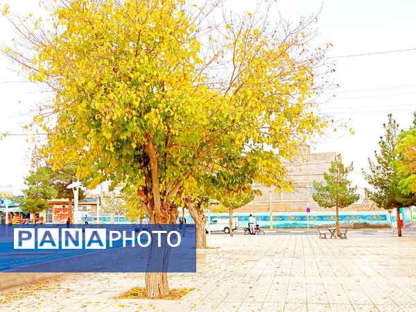 کاشمر در برگریزان پاییز