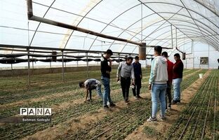 هنرستان‌ها، ظرفیتی مناسب برای تامین منابع انسانی مورد نیاز در بخش کشاورزی هستند