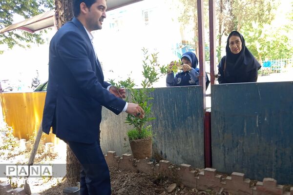 طرح محیط زیستی شهید مفقود الاثر ماکان نصیری در مدرسه رضوان ناحیه دو بهارستان