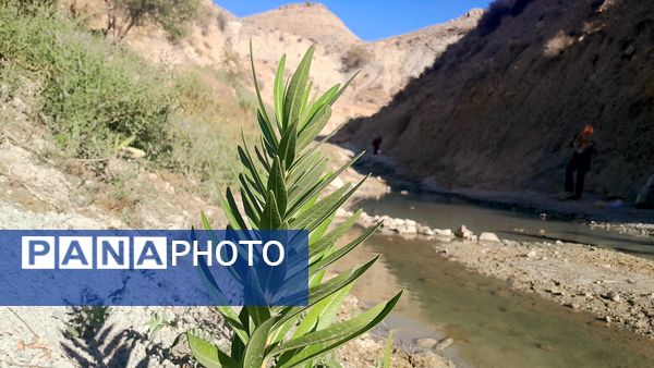روستای برد‌زرد نگینی غریب در شهرستان لنده