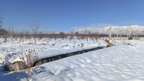 منظره زیبای برف پاییزی در باغات شهرستان نیشابور 