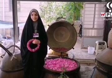 گزارش خبرنگار پانا قم از آیین گلاب‌گیری در کاشان