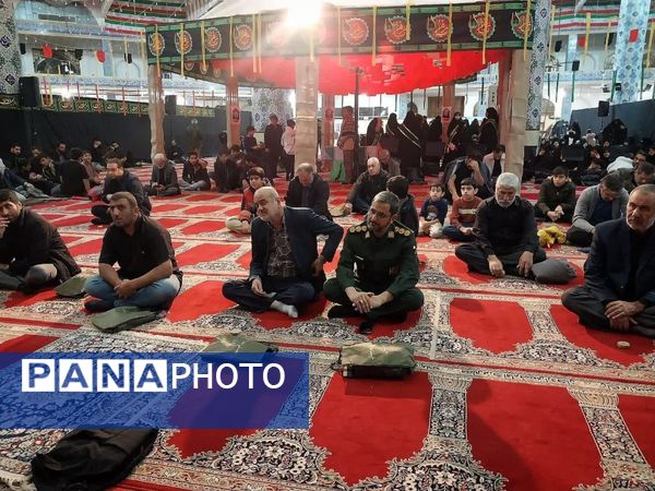 استقبال اردکانی‌ها از مهمان خوشنام