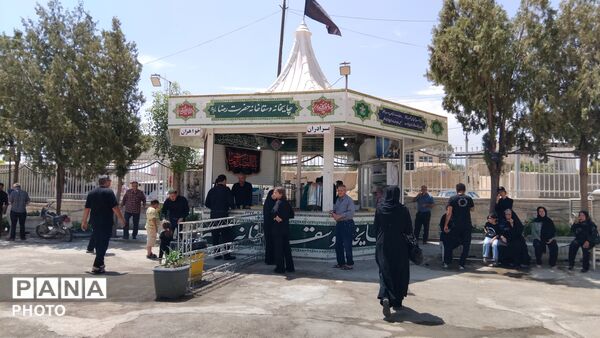 تجلی عشق در اربعین، از دهق تا کربلا 