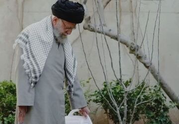 شاخه های درختِ تنومند کشور ایران به خورشید سربلندی خواهد رسید