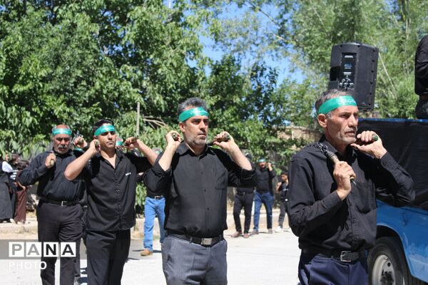 شورِ شیدایی در هرچگان