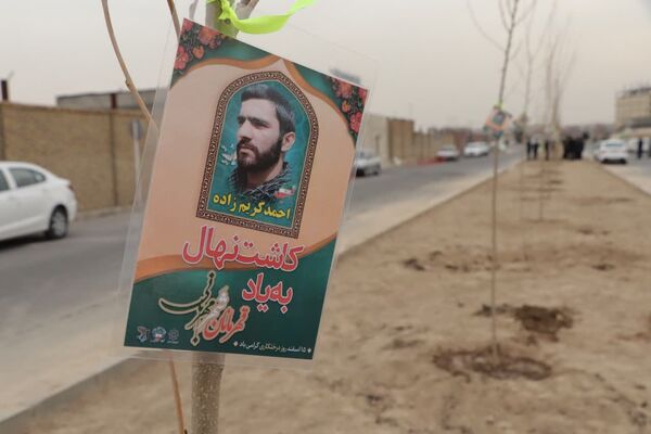 کاشت درخت به یاد شهدا در محمدشهر 