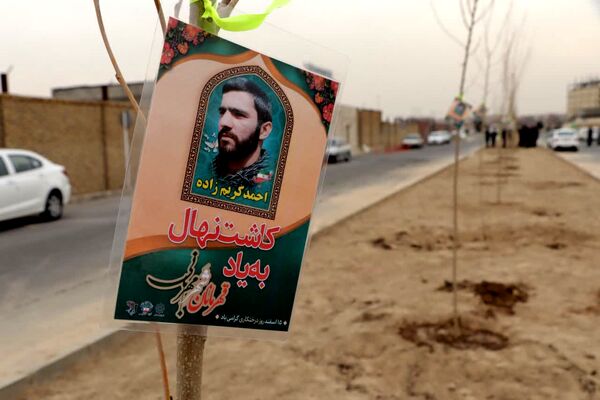 کاشت درخت به یاد شهدا در محمدشهر 