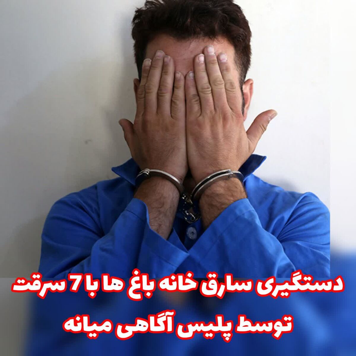 دستگیری سارق خانه باغ ها توسط پلیس آگاهی شهرستان میانه