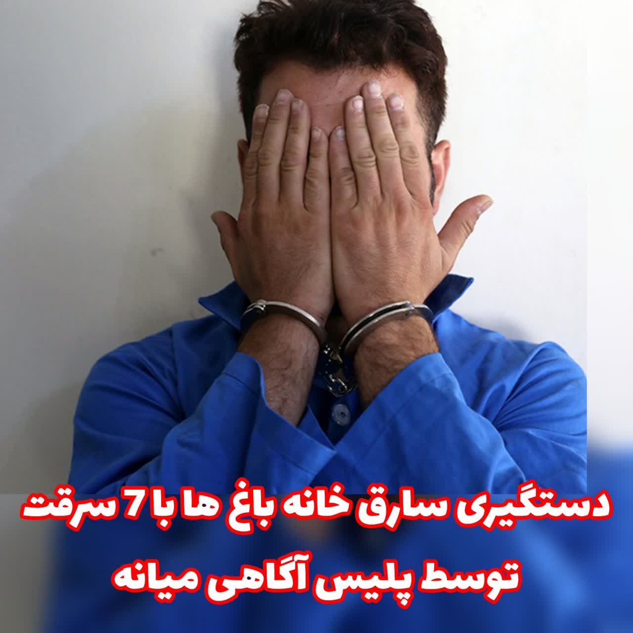 دستگیری سارق خانه باغ ها توسط پلیس آگاهی شهرستان میانه