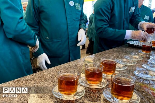 سفر به دیار مهربانی